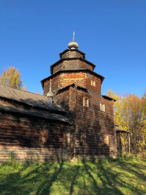 Чудесный октябрьский солнечный день ☀️

#зарисовкинеоченьюногонатуралиста 
#нижегородскиезарисовки..