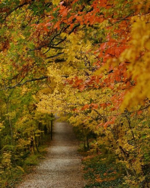 Прогулка по эко-тропе в Абрау-Дюрсо 🍂🍁😍

Фото..