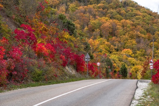 Осень в Абрау - Дюрсо! 😊🍁🍂🍁 
Фото: Sega..