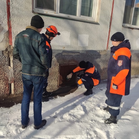 Кошка застряла в подвальной решетке

Хозяин питомца, говорят спасатели, не заметил, как кошка проскочила в..