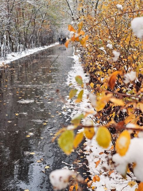 Сегодня в парке..