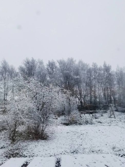 💙первая снежинка падает на землю - настроение джингл..