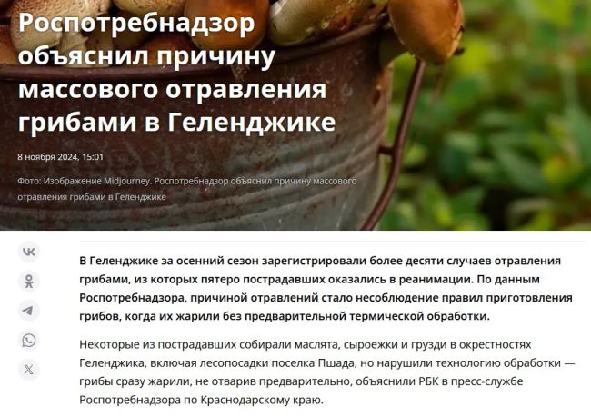 🍄 Грибники из Ростовской области, делитесь своими «трофеями». А вы уже ходили за грибами в этом сезоне?..