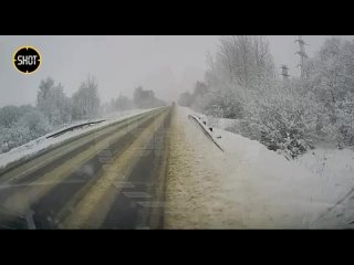 В Подмосковье произошел случай, достойный войти в фильм "Пункт назначения".

Ветка отломилась от дерева и..