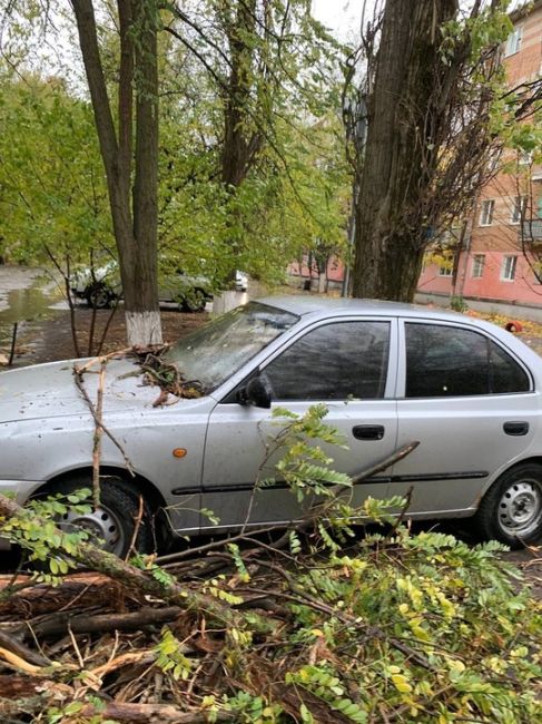 Деревопад в Азове..