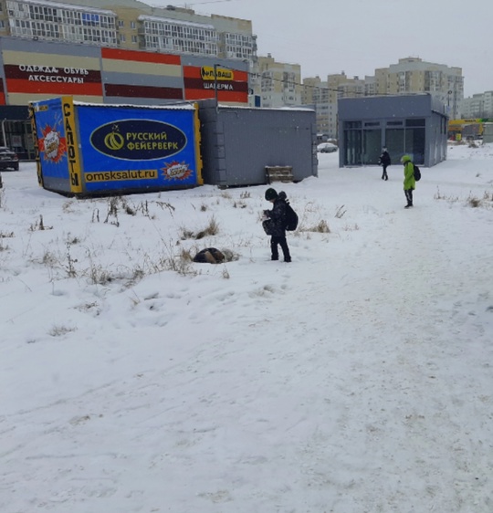 Жестокая жизнь "двортерьеров" в холода и отдельное, неравнодушие людей.
( пейзажи Московка-2, Сибирский..