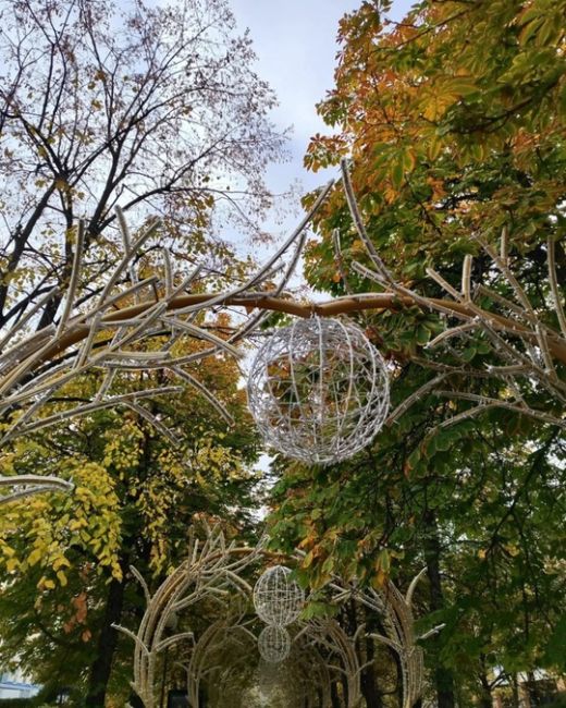 В гостях на Красной 🎄 Ну что сказать: Парк Галицкого поглощает город - и это хорошая новость 😇😂

 Конечно же..