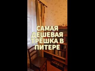 «Квартира расположена в Красном Селе. Это действительно Санкт-Петербург» — риелтор записала видеообзор на..