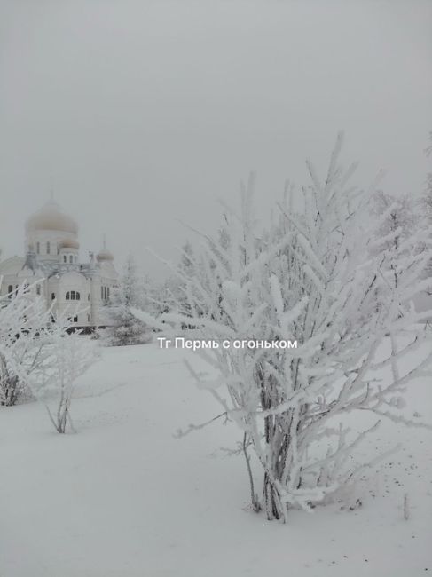 Зима на Белой горе..