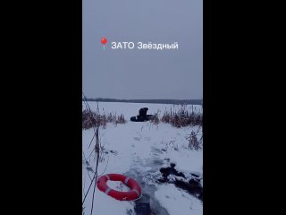 ‼️В ЗАТО Звездный сотрудники МЧС спасли примерзших ко льду лебедей

На резиновой лодке по тонкому льду..