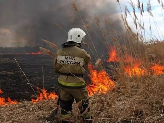 Летом в Ростовской области произошло более тысячи пожаров в лесу и степи, согласно данным регионального ГУ..