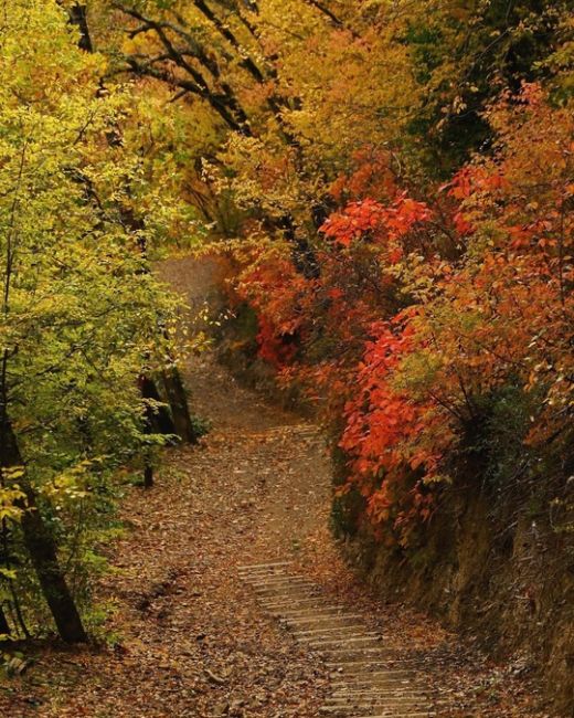 Прогулка по эко-тропе в Абрау-Дюрсо 🍂🍁😍

Фото..