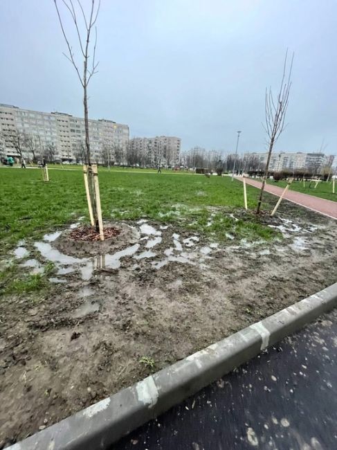 Петербургский чиновник извинился за Косово в новом парке

Одно фото в соцсетях привело к тому, что глава..