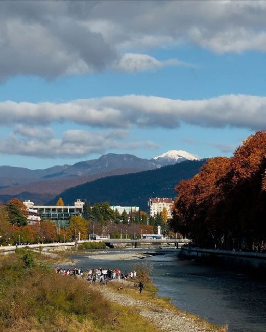 Осень на улицах Сочи🍁

Фото..