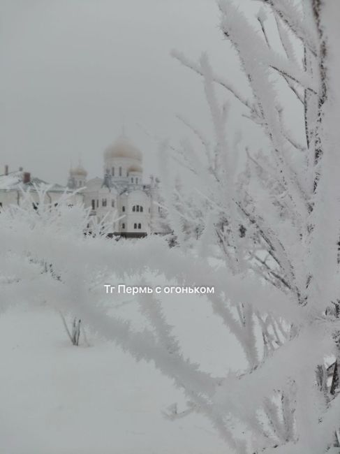 Зима на Белой горе..