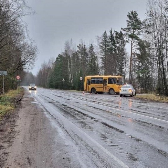 Школьный автобус с 15-ю детьми попал в ДТП на 183 км автодороги Павлово-Мга-Оредеж-Луга в Ленинградской области..