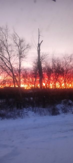 Сегодня в Омске был невероятно красивый закат😍

Кому ещё удалось его..