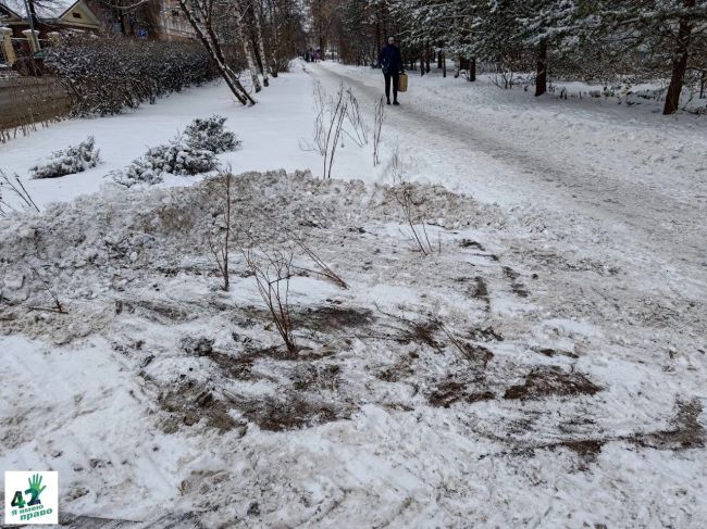 Снег на улицах Нижнего Новгорода — это всегда испытание.

Испытание не только для пешеходов и..