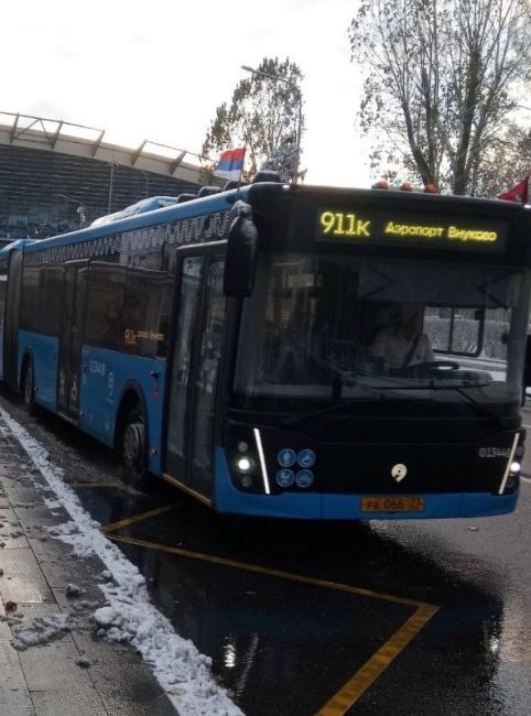 Рейсовый автобус Москва-Белград обнаружили во..