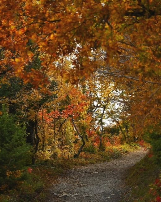 Прогулка по эко-тропе в Абрау-Дюрсо 🍂🍁😍

Фото..