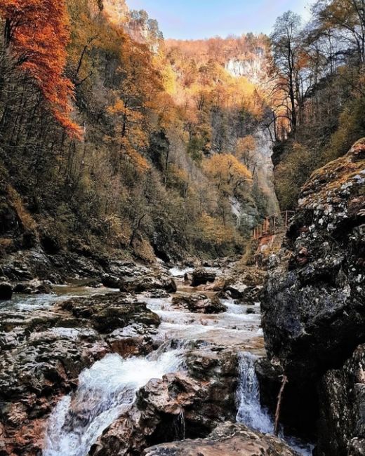 Путь от Гуамки до Мезмая по узкоколейной железной дороге ❤️

Фото:..