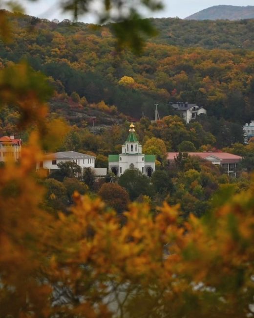 «Прогулка по эко-тропе в Абрау-Дюрсо🍂🍁» 
Все фото..