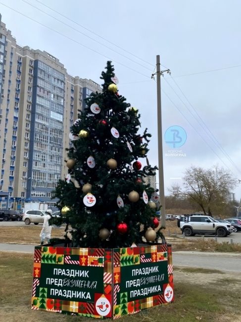 Вот тебе на! В Дзержинском районе около одного из магазинов установили первую в Волгограде новогоднюю..