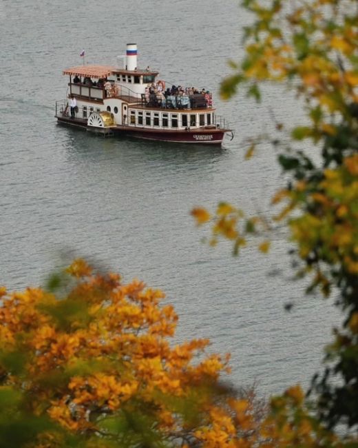 «Прогулка по эко-тропе в Абрау-Дюрсо🍂🍁» 
Все фото..