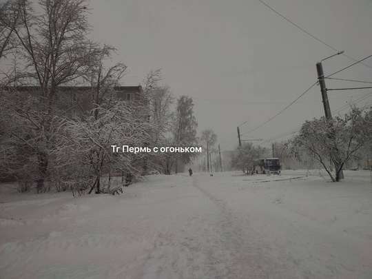 Березники сегодня утром 😍 Снежная сказка!..