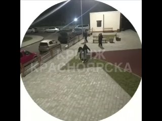 В красноярских Черемушках парень избил девушку.

В Красноярске во дворе дома по ул. Шевченко, 1А произошла..