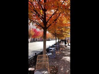 ПреКраснодар😍❤️🫶🍂🍁 Заметили какая красота на улице? 🧡

Автор 📸..