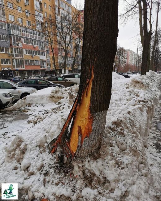 Снег на улицах Нижнего Новгорода — это всегда испытание.

Испытание не только для пешеходов и..