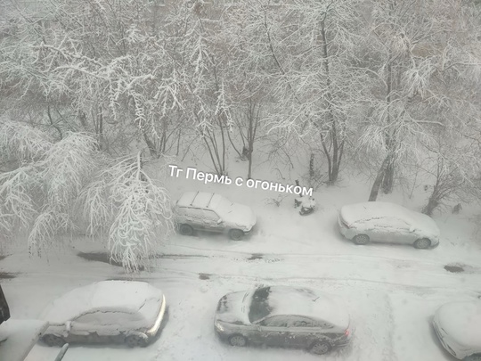 Березники сегодня утром 😍 Снежная сказка!..