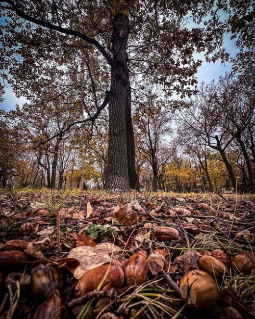 Осень - самое яркое и прекрасное время..