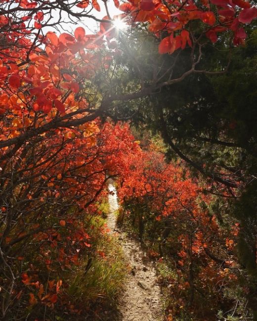 Прогулка по осеннему побережью от Супсеха в сторону Сукко🍁🍂🔥

Фото..