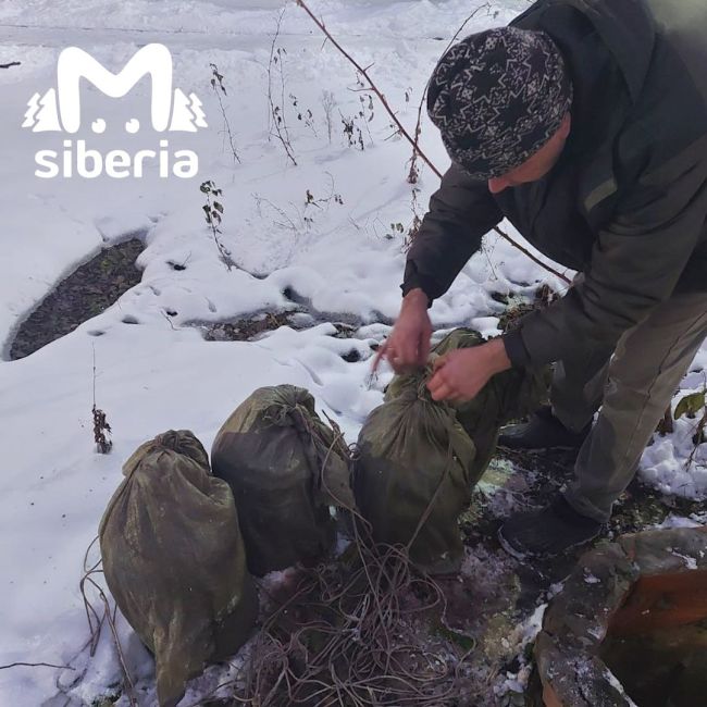 Житель города Бердска создал в колодце винный погреб, из-за чего 20 домов остались без..