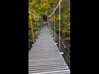 🍂Волшебная атмосфера осени в Гуамском ущелье   

На кадрах, пожалуй, самый фотогеничный мостик через реку..