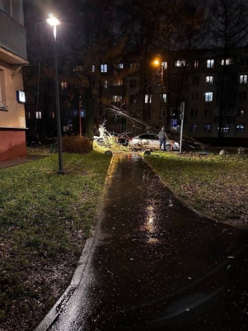 В столицу пришел обещанный адок — в городе бушует пятибалльный шторм. По прогнозам синоптиков, он продлится..