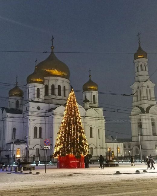 Совсем скоро...

фото: Надежда..