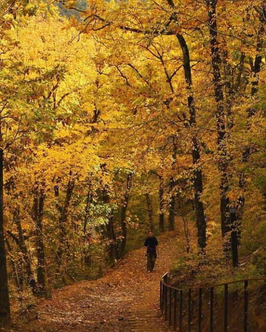 Прогулка по эко-тропе в Абрау-Дюрсо 🍂🍁😍

Фото..