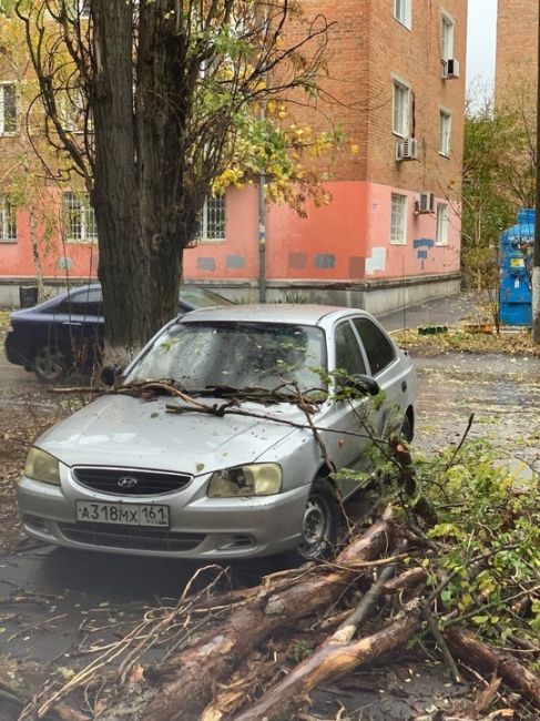 Деревопад в Азове..