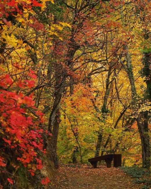 Прогулка по эко-тропе в Абрау-Дюрсо 🍂🍁😍

Фото..