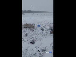 Ну что с первой снегой вас. Север Ростовской области весь в пурге, пока столицу региона накрыл..