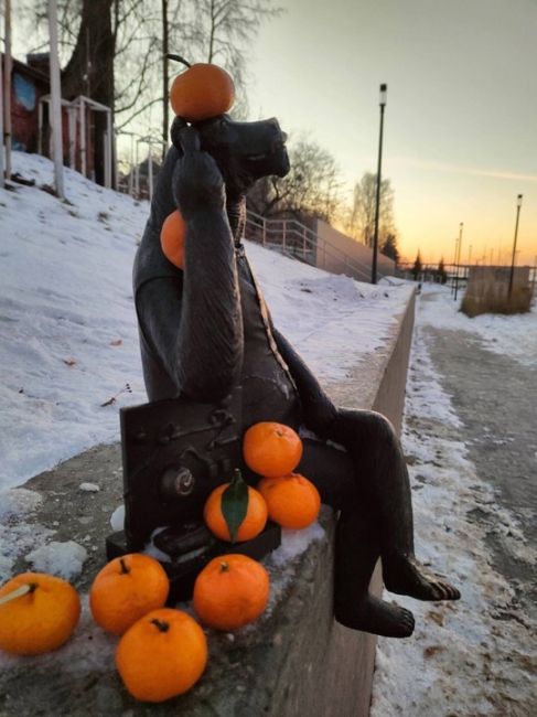 Мандариновое нашествие на пермских медведей 🍊🍊🍊

Фото: Оксана..