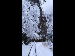 ❄️🚂Три часа от Краснодара и вы телепортируетесь в идеальное зимнее настроение! 

Пару практических..