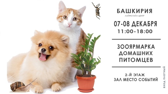 🐾 Приглашаем на ЗооЯрмарку домашних питомцев, экзотических насекомых, рептилий и цветов! 
 
📆Когда: 7–8..