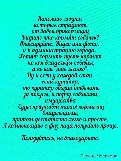 В микрорайоне Амур-2 большая проблема с бродячими собаками, которые остаются после строек. И зачем то их еще..