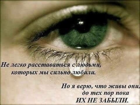 В Киришском районе Ленобласти ДТП закончилось смертью водителя 
 
Фатальная авария произошла вчера на 220..