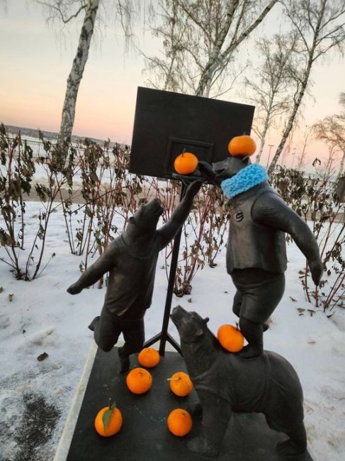 Мандариновое нашествие на пермских медведей 🍊🍊🍊

Фото: Оксана..