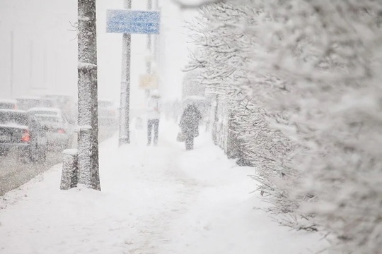 🌨️В Самарской области объявили желтый уровень погодной опасности

Днем 22 декабря ожидается сильный..